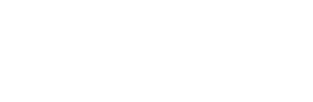 MN Custom Homes (Logo)